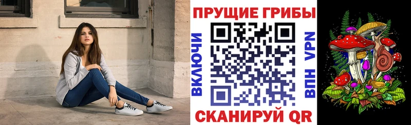 наркошоп Струнино Псилоцибиновые грибы мухоморы